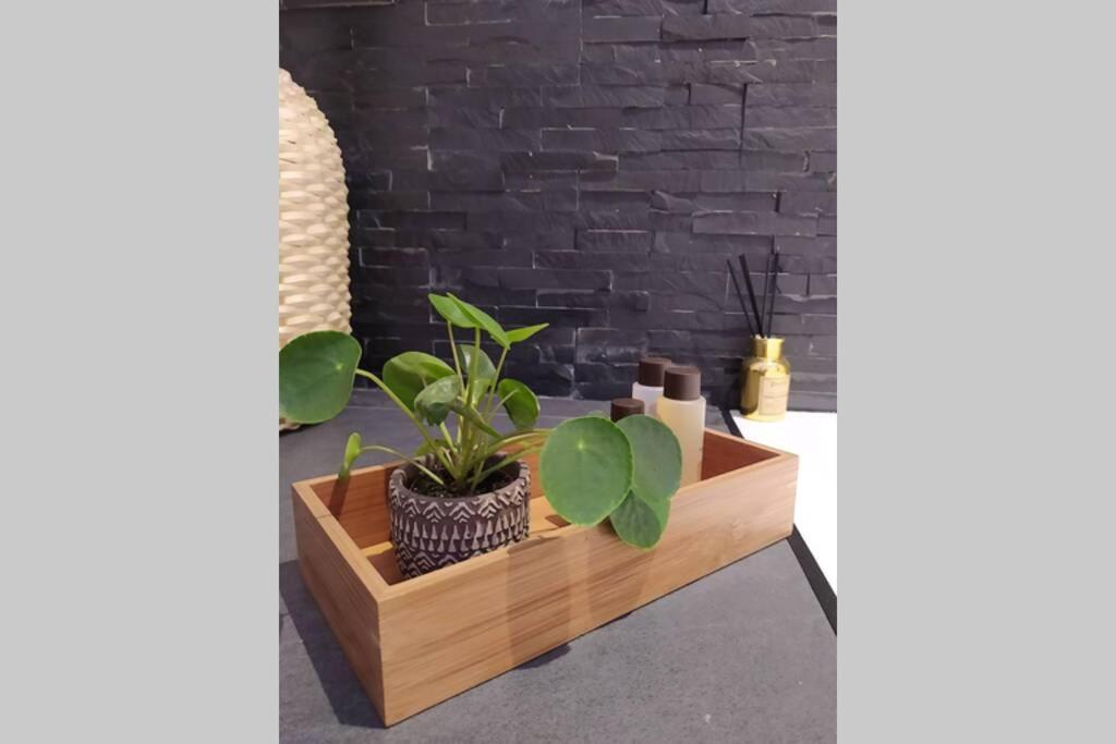 Elegante Open Space Con Vasca Idromassaggio A Trastevere מראה חיצוני תמונה